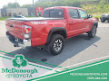 2023 Toyota Tacoma TRD Off-Road